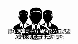 青年网军两千万，平均不足20岁，战狼经济正成型；网红主播位列博鳌论坛嘉宾；科技脱钩危害甚于贸易战，全球经济或迎大倒退；投资人疑虑未消，制造业仍未痊愈；沙尘暴再袭北京下泥雨|中国财经（20210417）