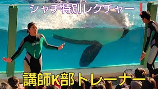 【子供達を相手にK部トレーナーが詳しくシャチについて説明❗】特別レクチャー　鴨川シーワールド✨シャチ