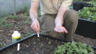 How to use slug pellets correctly