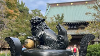 Gotokuji- Lucky Cat Temple: Tokyo's Purrfect Temple🐱