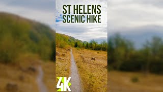 Scenic Autumn Hike for Vertical Devices - Fall Season at Hummocks Trail, Mount St Helens 4K