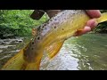 trout towns ep. 5 state college pa