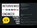 Python interview with a FAANG engineer: Extract leaves from tree