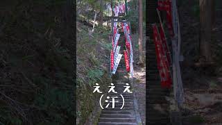 【shorts】東郷公園 秩父御嶽神社 #shorts #秩父御嶽神社 #東郷公園