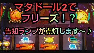 パチスロ【マタドール2】BIG寄りの台でフリーズも発生！？1時間勝負！！うちなーぐちクイズもあるよ！#36