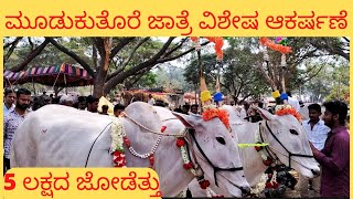 Mudukuthore Cattle Fair-2022|| 5 lakh worth  Bull pair|| Hallikar cattle fair