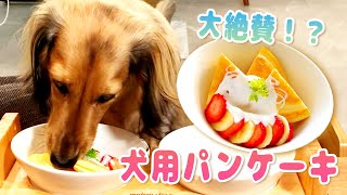 【ミニチュアダックスフンド】犬用パンケーキを作ってみた！初めてのパンケーキを食べた愛犬の反応が可愛い…