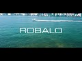 2014 robalo r300