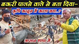 ( @Lokausar  ) #farmer बकरी पालने वाले ने बता दिया-कृषि कानून में काला क्या‌ है..? खुद देख लो.?