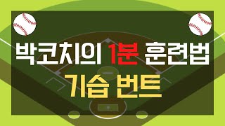 ⚾️박코치의 \