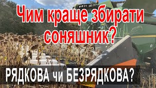 Як зібрати врожай соняшнику без втрат?