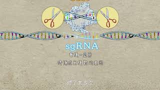 CRISPR／Cas9的限制 - 「off-target」脫靶效應@【基因啟示-解碼與編輯】片段