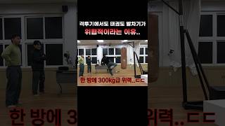 3000만 원 짜리 장비로 측정한 태권도 발차기의 위력은..? #shorts