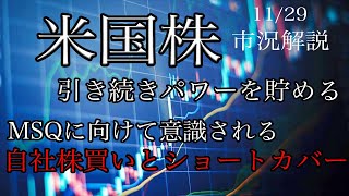 11/29【米国株】引き続きパワーを貯める！FRB理事はハト派発言！MSQに向けて意識される自社株買いと空売りのショートカバー！