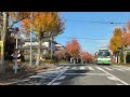 車載動画 太子 北葛城郡王寺町 奈良県 prince oji kitakatsuragi district nara driving japan