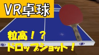 バーチャル卓球で粒高を再現！？【Racket Fury】