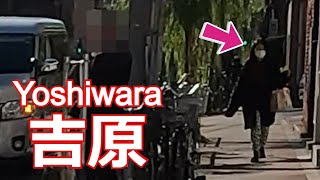 A prostitute girl! ? Strolling in Yoshiwara…December 26, 2022 [4K]