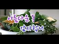 20.11.14 크리스마스선인장 가재발선인장 11월~ 이럴때 물주세요.. 박시연다육식물이야기