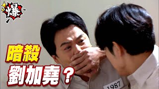 《多情大爆爆》多情城市 EP222 暗殺 劉加堯？