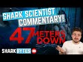 Watch '47 METERS DOWN' with a Shark Scientist! (Movie commentary & reaction)