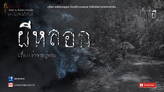 ผีหลอก