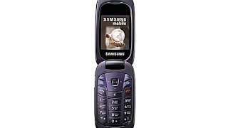 Samsung SGH-L320 ringtones on Nokia AS(5140)