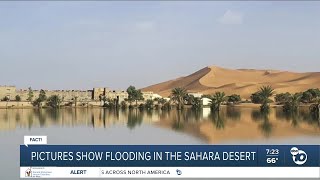 Fact or Fiction: Is a photo of flooding in the Sahara Desert real?