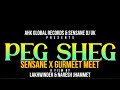 PEG SHEG - SENSANE x Gurmeet Meet (Official Video)