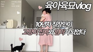 10년차 직장인의 육아육묘 vlog 👶🏻🐈‍⬛🐈 | 3개월 아기 | 고양이집사