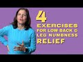 4 Exercises for Lumbar Disc Bulge Pain Relief | Dr. Mimi McLaughlin Walkersville, Md