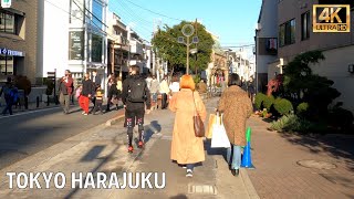 Tokyo Harajuku, Cat Street in Evening | 4K Walk Japan 2021