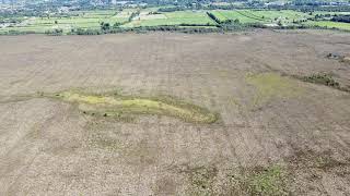 Clara Bog SAC, Co. Offaly