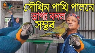 সৌখিন পাখি পালনে ভাগ্য বদল নারায়নগঞ্জের সেলিম সাহেবের। Observing exotic birds