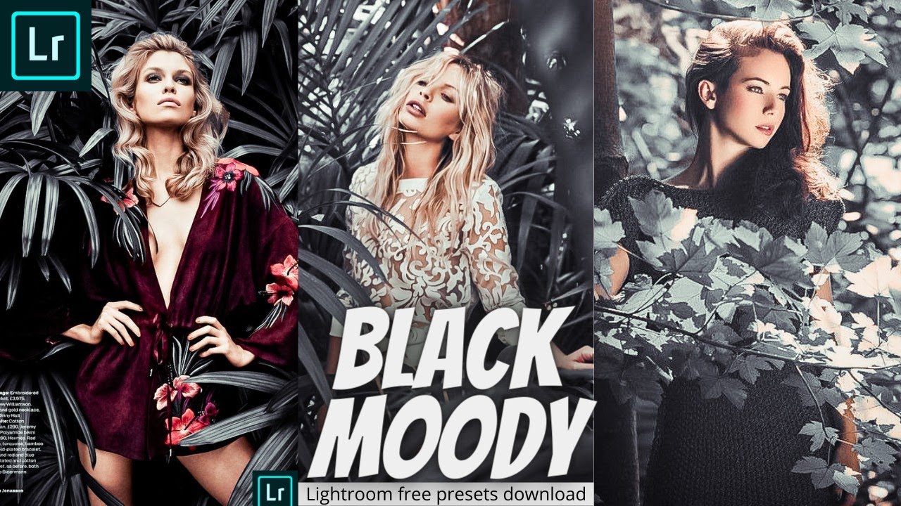 Black Tone (moody) Preset | How To Edit Black (moody) | Dark Black ...