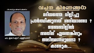 യേശു അല്ലാതെ മറിയത്തിന് മറ്റു മക്കൾ ഉണ്ടായിരുന്നോ ? കാണുക | Talk by Fr. Ignatius Chulliyil