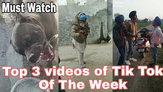 Top 3 Tik Tok Videos Of The Week||Tik tok||Best videos||Of The Week||