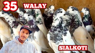 Imported | 35 Walay | Siyalkoti Original | MOB-9646545783 | Delivery All India | By Sonu Ldh 👍