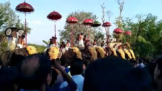 Nilambur Vailassery pooram