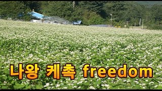 [시골풍경 숙면채널] Nawang Khechog Tibetan meditation music 티벳 나왕케촉의 명상음악 freedom