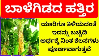 ಬಾಳೆ ಗಿಡದ ಹತ್ತಿರ ಇದನ್ನು ಬಚ್ಚಿಡಿ ಹಣ ಹರಿದು ಬರುತ್ತೆ miracle remedy of banana tree in astrology