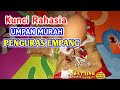 Kunci Rahasia Umpan Murah Penguras Empang|Umpan Ikan Mas Gacor