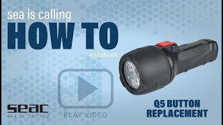 SEAC - How to replace Q5 button