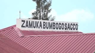 Bumbogo baheze mu gihirahiro| Ntibazi irengero ry'ayabo yibiwe mu murenge SACCO