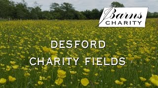 Brief Introduction to Desford Charity Fields