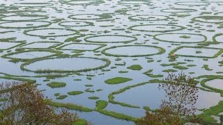 Loktak Lake Manipur India