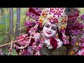 sandhya arati the appearance day of srimati radharani radhastami 2023