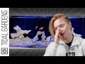 I'm in Nitrogen Cycle Jail! - Becka's Tank Episode 5