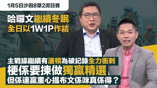 #排位拆局｜哈囉文全日以1W1P作結，係乍暖還寒嘅天氣下繼續冬眠；￼主戰線繼續有潘頓為破紀錄全力衝刺，梗係要揀做獨贏精選，但係連贏重心揾布文係咪真係得㗎？￼｜1月5日沙田8草2泥日賽同你拆解排位玄機！