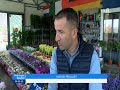 mirëmëngjesi kosovë kronikë kujdesi për lulet 20.04.2019