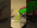 how to catch more fish with a topwater frog lure